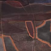 Detail from Nocturnal Shore, by Philip Reeves