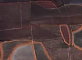Detail from Nocturnal Shore, by Philip Reeves