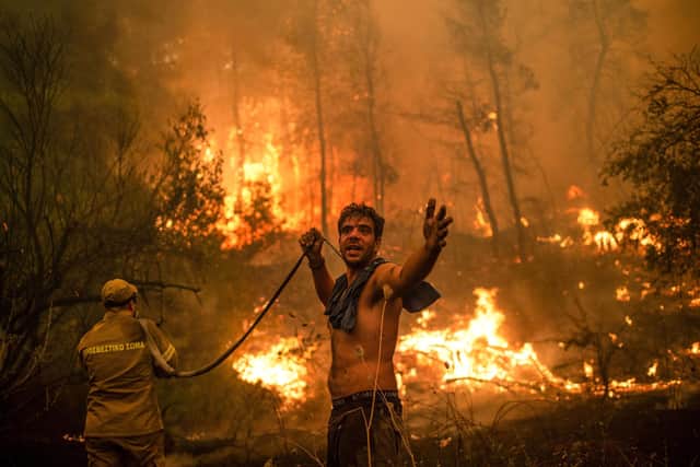 A local man trying to fight a forest fire on the Greek island of Evia in August last year asks for help as no water comes through the hose (Picture: Angelos Tzortzinis/AFP via Getty Images)