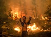 A local man trying to fight a forest fire on the Greek island of Evia in August last year asks for help as no water comes through the hose (Picture: Angelos Tzortzinis/AFP via Getty Images)