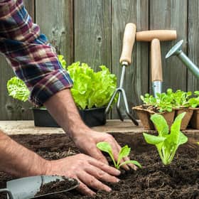 Are you thinking about trying out some gardening? (Photo: Shutterstock)