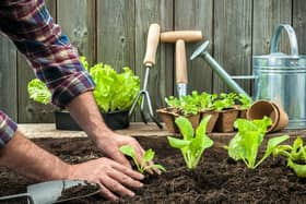 Are you thinking about trying out some gardening? (Photo: Shutterstock)