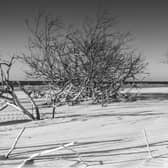 Culbin  in Moray was abandoned by the community when a great storm submerged it in sand in the late 17th Century. PIC: Contributed.