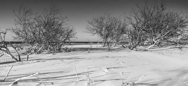 Culbin in Moray was abandoned by the community when a great storm submerged it in sand in the late 17th Century. PIC: Contributed.