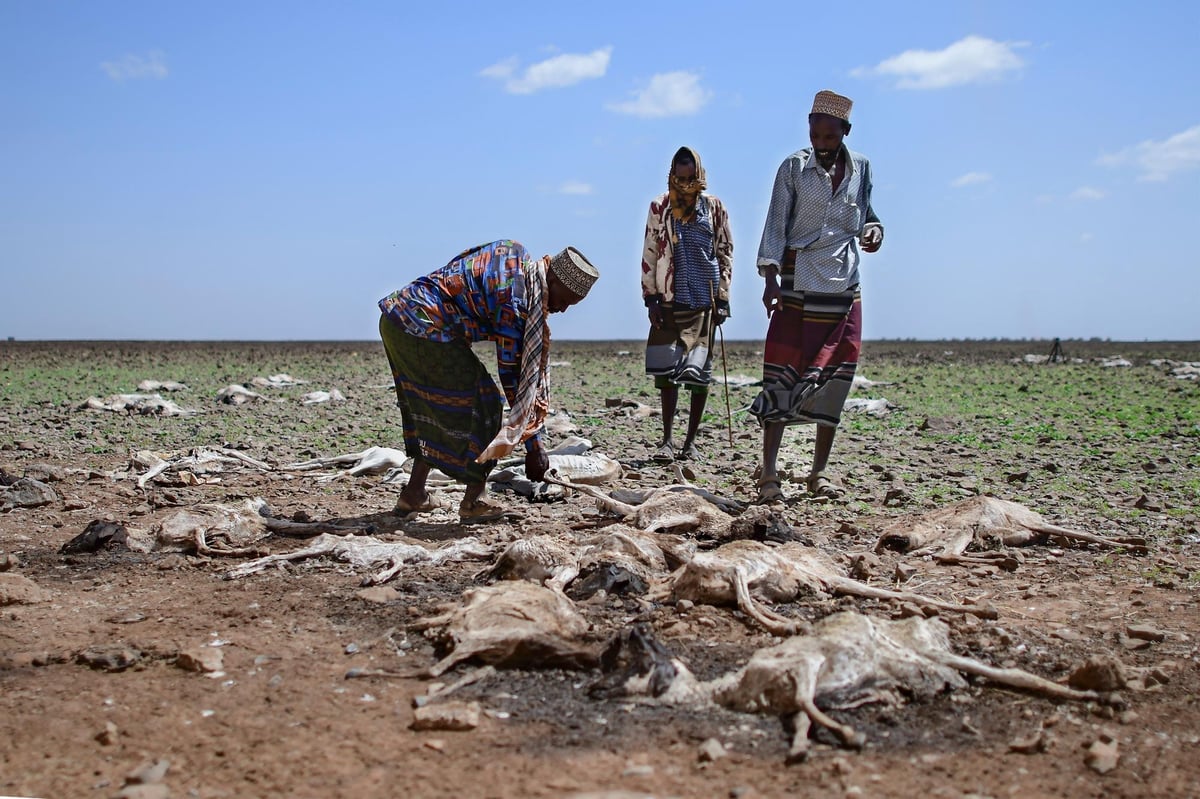 World has just a few days left to agree how to help the most climate-vulnerable people on the planet – Dr Richard Dixon