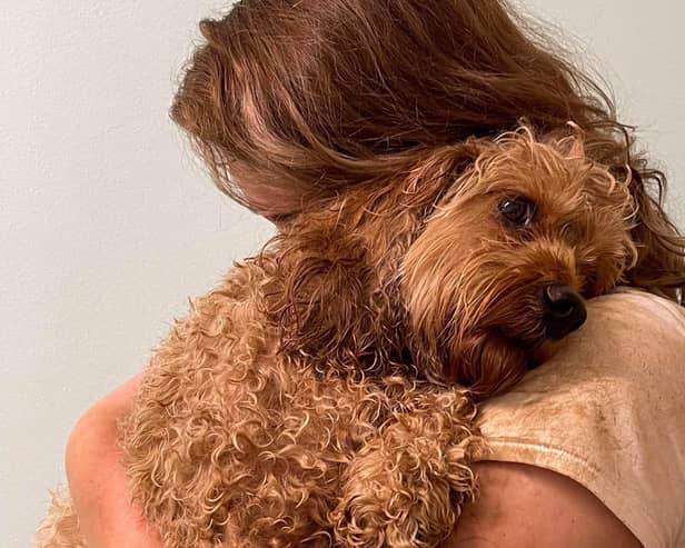 Seaton Park dog: Pup digs his way to safety after being trapped underground for three days in an Aberdeen park