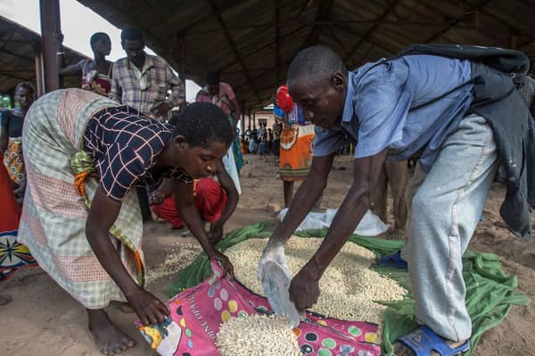 A displaced woman gets her ration of maize at a camp for people displaced by flash floods in Bangula, southern Malawi, in 2019 (Picture: Amos Gumulira/AFP via Getty Images)