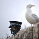 Councillors in Dumfries and Galloway have been asked to address a gull “infestation” of “epidemic proportions” in the region, amid a claim that the birds are negatively affecting people’s mental health.