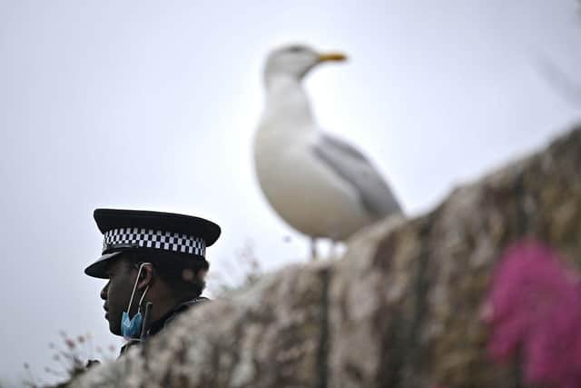 Councillors in Dumfries and Galloway have been asked to address a gull “infestation” of “epidemic proportions” in the region, amid a claim that the birds are negatively affecting people’s mental health.