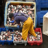 Fishing has proved to be one of the main stumbling blocks in the talks over a post-Brexit trade deal with the European Union (Picture: Oli Scarff/AFP via Getty Images)