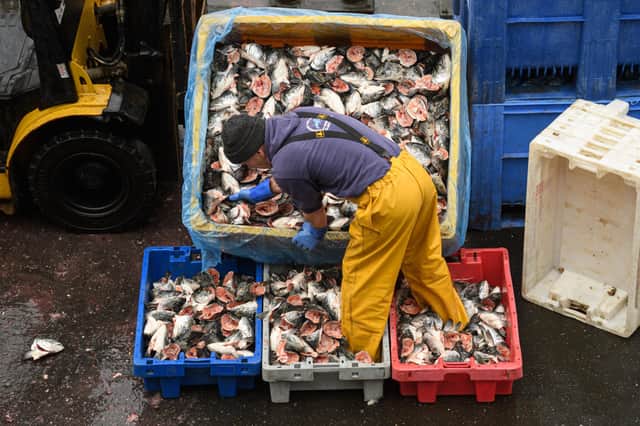Fishing has proved to be one of the main stumbling blocks in the talks over a post-Brexit trade deal with the European Union (Picture: Oli Scarff/AFP via Getty Images)