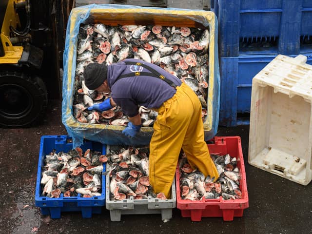 Fishing has proved to be one of the main stumbling blocks in the talks over a post-Brexit trade deal with the European Union (Picture: Oli Scarff/AFP via Getty Images)