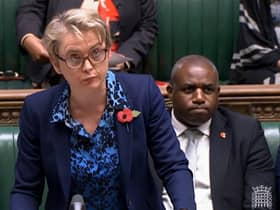 Shadow Home Secretary Yvette Cooper called for the documents to be released.