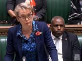 Shadow Home Secretary Yvette Cooper called for the documents to be released.
