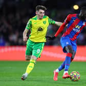 Cheikhou Kouyate of Crystal Palace battles for possession with Billy Gilmour of Norwich City during the Premier League match at Selhurst Park. (Photo by Bryn Lennon/Getty Images)