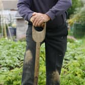 Turning over your soil can slash the risk of heart disease, a new study suggests.