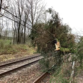 A tree and damaged lines are causing disruption on the West Coast Mainline north of Lockerbie