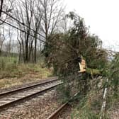 A tree and damaged lines are causing disruption on the West Coast Mainline north of Lockerbie
