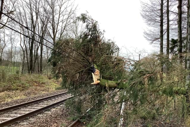 A tree and damaged lines are causing disruption on the West Coast Mainline north of Lockerbie