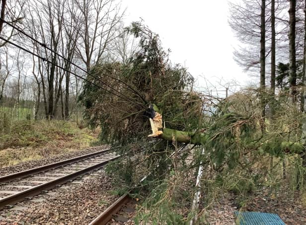 A tree and damaged lines are causing disruption on the West Coast Mainline north of Lockerbie