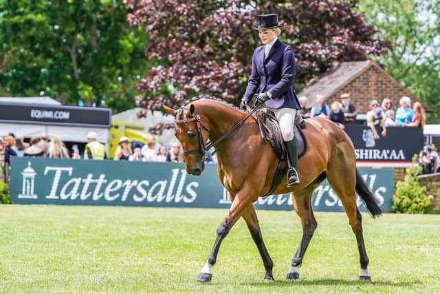 Class 180 The Tattersalls RoR Open Ridden Show Series Championship
The Al Shira’aa Hickstead Derby Meeting June 2022
© Copyright Hannah Cole Photography. All rights reserved.