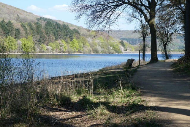 Morehall reservoir taken by Elizabeth Walker