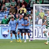 Robert Mak of Sydney celebrates scoring in the 2-1 win over Celtic at the Allianz Stadium. (Photo by Brendon Thorne/Getty Images)