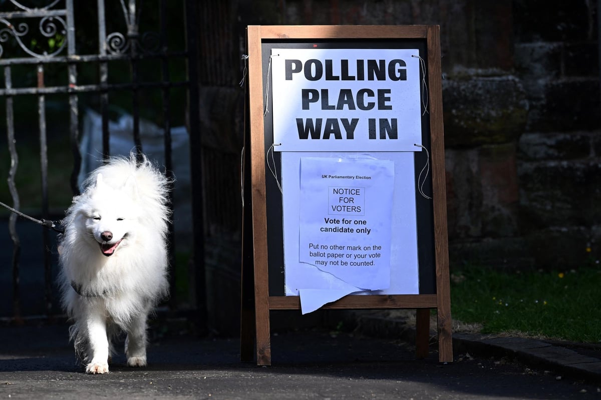 17 adorable pictures of dogs at polling stations as country votes in General Election 2024