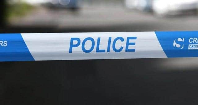 Police after appealing for information after a 19-year-old girl was sexually assaulted near Loch Lomond.