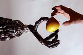 Robots can be better designed if they 'evolve' (Picture: Jeff J Mitchell/Getty Images)