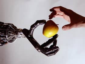 Robots can be better designed if they 'evolve' (Picture: Jeff J Mitchell/Getty Images)