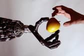 Robots can be better designed if they 'evolve' (Picture: Jeff J Mitchell/Getty Images)