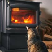 Air quality, moisture levels and temperature in our homes can have significant mental and physical health implications for households, and four-legged friends. Image: AdobeStock