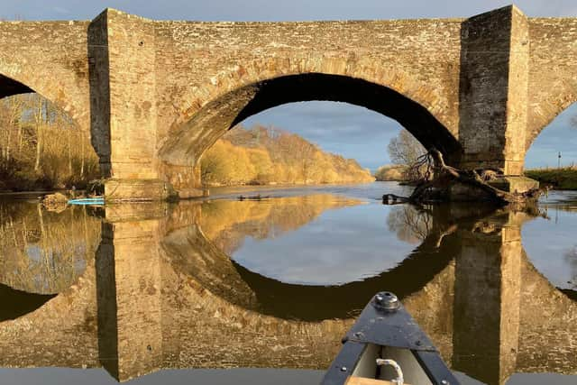 The latest surveys suggest beavers are well established around the River Tay in Perth, which has become the first UK city to have its own 'urban' population