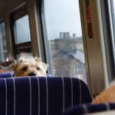 Claire's second tip: "If your dog is not great at travelling or has never been on a train before, start them off with just going to the station and sitting on the platform. When they are ready, go on the train for a short journey and build up from there. Travel at quieter times so your dog will have more space."