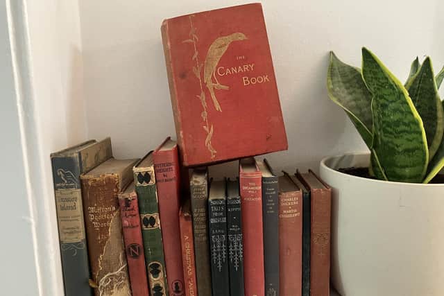 Vintage books like The Canary Book by Robert L Wallace, published 1893, are hard to resist. Pic: J Christie