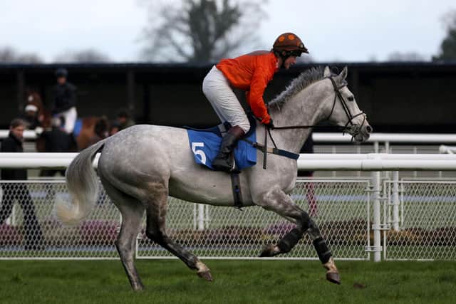 Lorna Brooke, riding Radius Bleu in 2016.