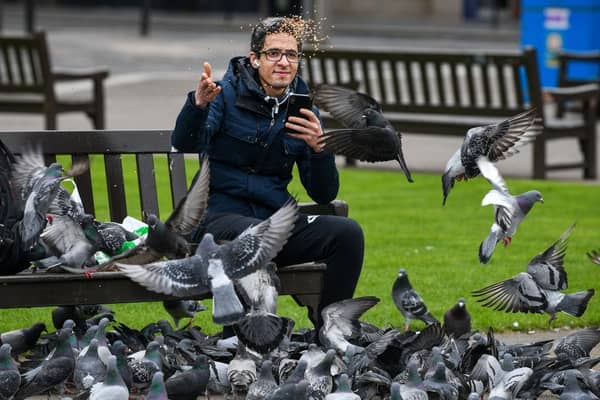 Pigeons in Glasgow's George Square aren't always unwelcome (Picture: Jeff J Mitchell/Getty Images)