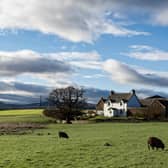 Rural Scotland