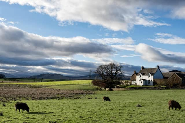 Rural Scotland