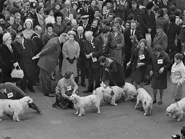 On several occasions, the Queen or her staff have been injured by the corgis. In 1954, the palace clock winder, Leonard Hubbard, was bitten by Susan upon entering the nursery at the Windsor. Later in the same year, one of the Queen Mother's Corgis bit a policeman on guard duty in London.