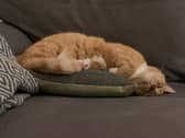 New sofa? Nothing wrong with the old one. Mum's the Word. J Christie