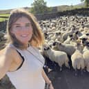 The Yorkshire Shepherdess, Amanda Owen, with some of her Swaledale flock.