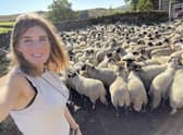 The Yorkshire Shepherdess, Amanda Owen, with some of her Swaledale flock.