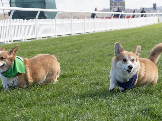The race is one ...