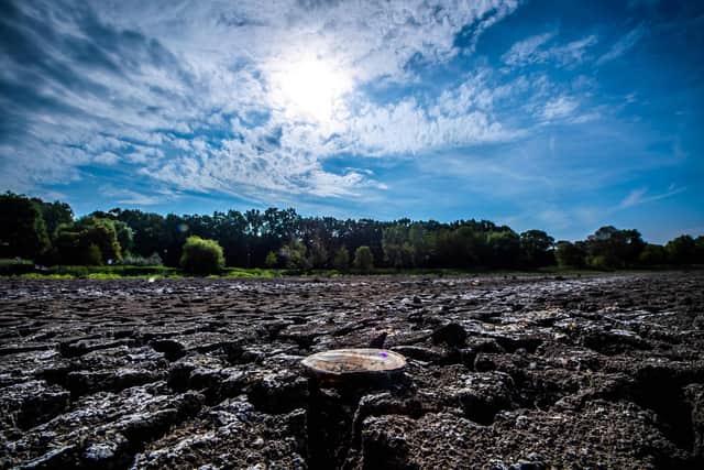 A photo taken on August 14, 2022 shows a shell at the dried-up bed of Lake Vekeri near Debrecen, eastern Hungary. - According to Hungarian authorities, the last seven months were the driest ever registered in Hungary since 1901. (Photo by FERENC ISZA / AFP) (Photo by FERENC ISZA/AFP via Getty Images)