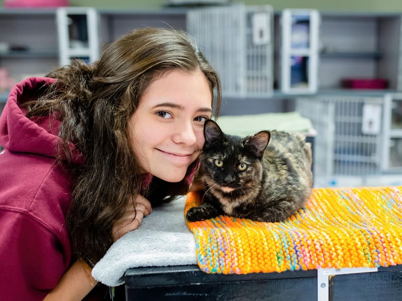 If your cute cat likes to groom you, this is a good sign they love you. They are seeing you as part of their family!