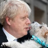 Boris Johnson with Dilyn on General Election polling day. One year on, the dog's a star, a rascal and right at the heart of government intrigue (Picture: Christopher Furlong/Getty Images)