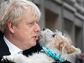 Boris Johnson with Dilyn on General Election polling day. One year on, the dog's a star, a rascal and right at the heart of government intrigue (Picture: Christopher Furlong/Getty Images)