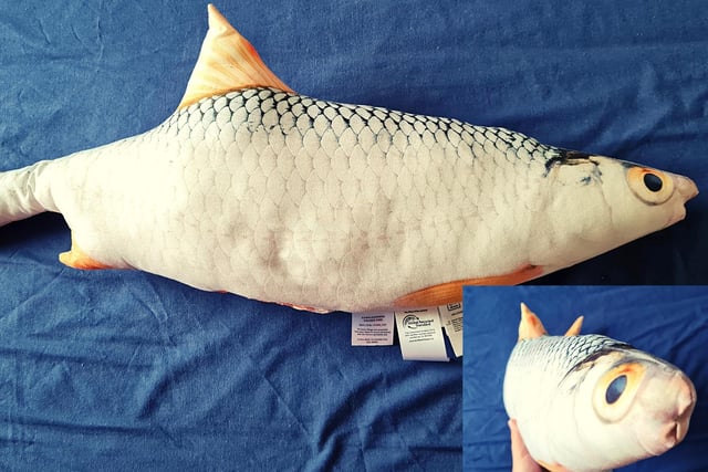 While most prefer teddy bears or other varieties of cute soft animal toys, this product tried something different. The Meradiso Fish Cushions look closer to actual fish plucked from a river and then put through taxidermy, who was this product intended for? It's unclear.